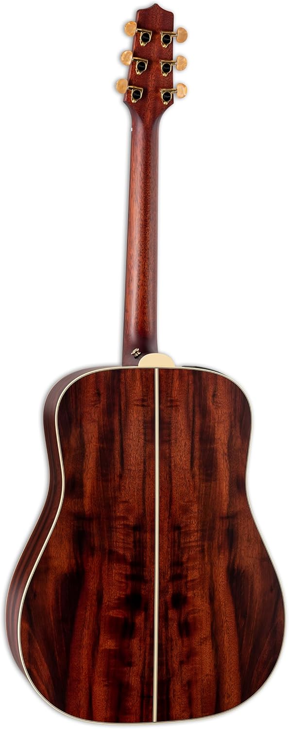 Takamine FN15AR Dreadnaught Acoustic/Electric Guitar - "Natural"