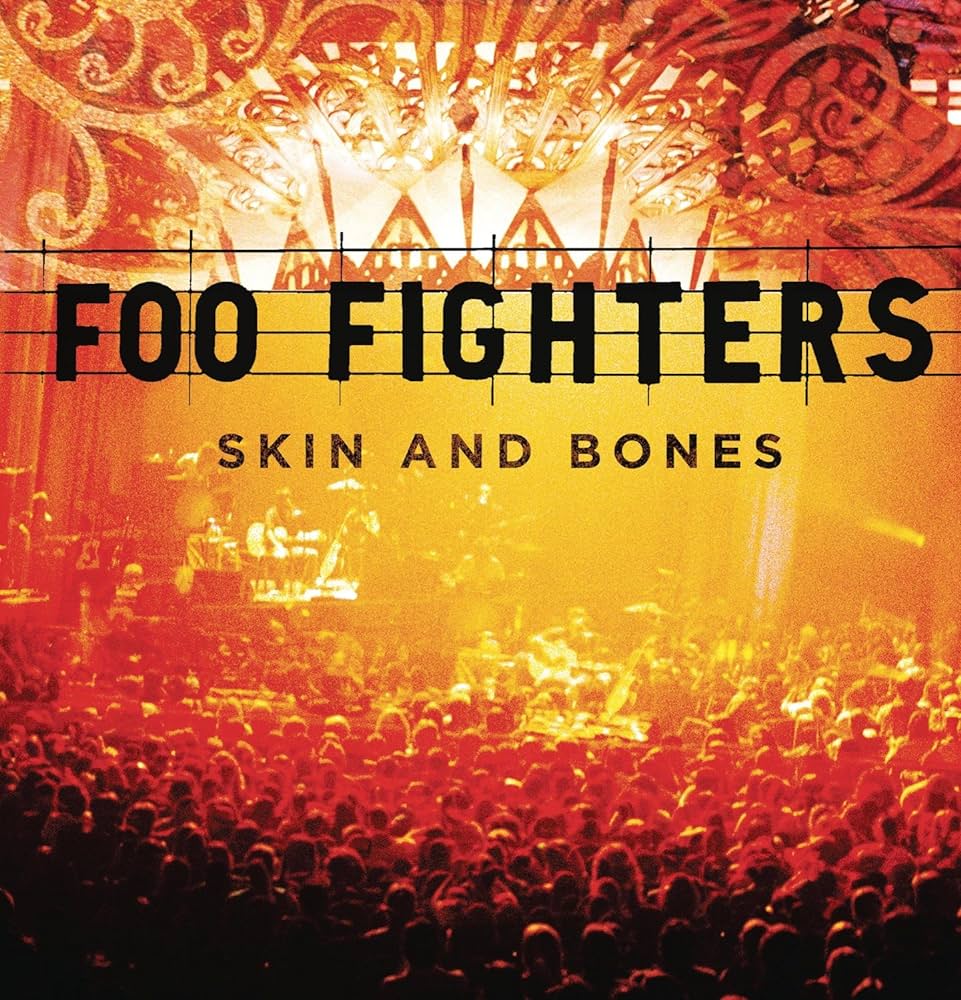 Foo Fighters - Skin and Bones - 2LP - Double Vinyl Record LP