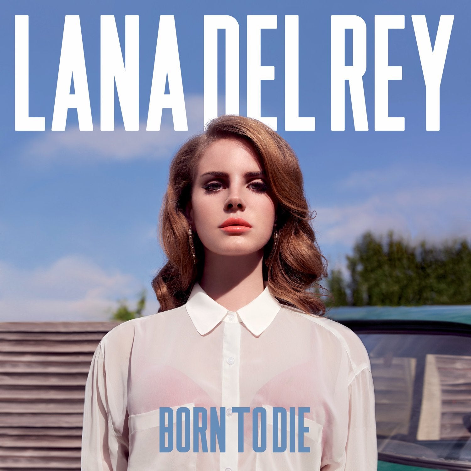 Lana Del Rey - Born To Die - Vinyl Record LP - Black Vinyl