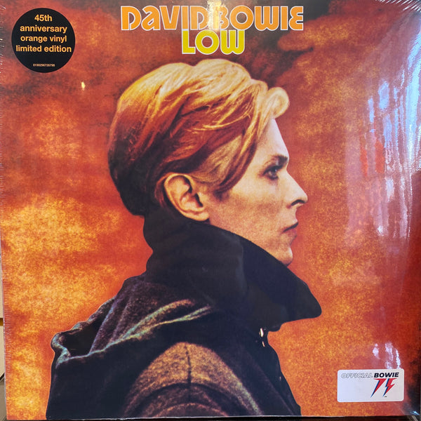 洋楽 David Bowie TOUR1990 LIMITED EDITION DAVID BOWIE Concert ticket Sound + Vision Tour 1990, Milan April