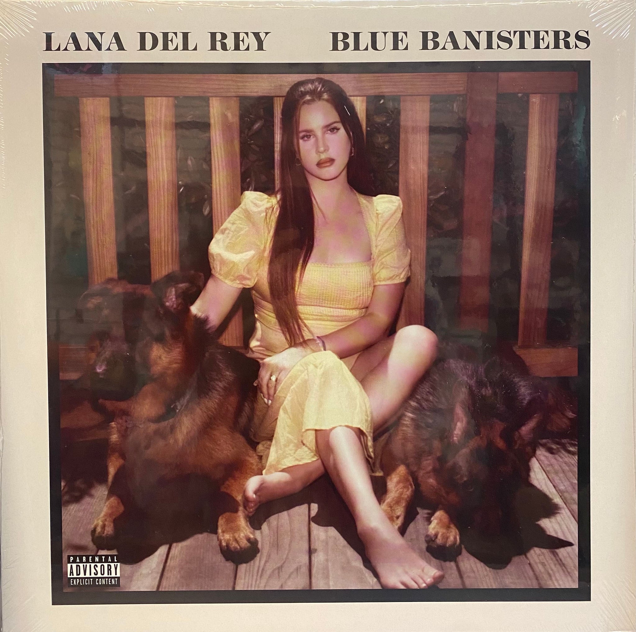 Lana Del Rey - Blue Banisters - Vinyl Record LP - Black Vinyl
