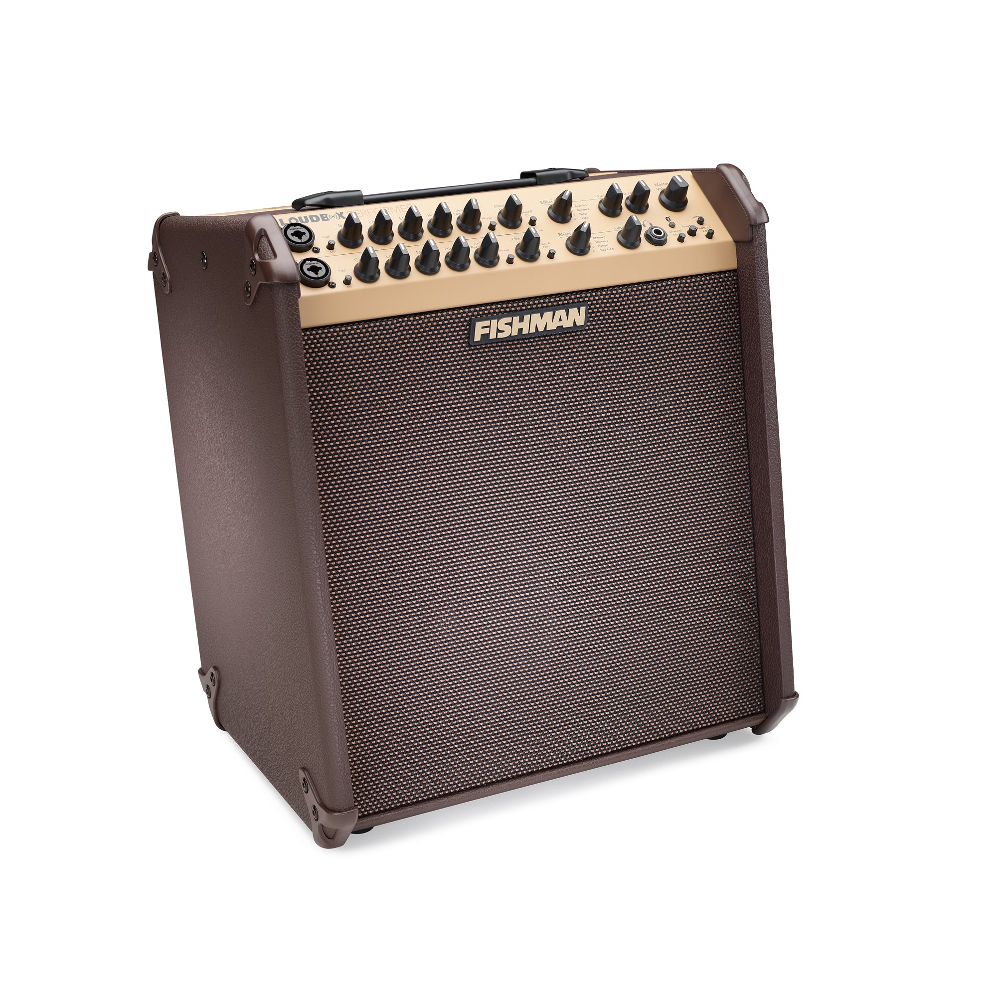 Fishman Loudbox Performer Amplifier