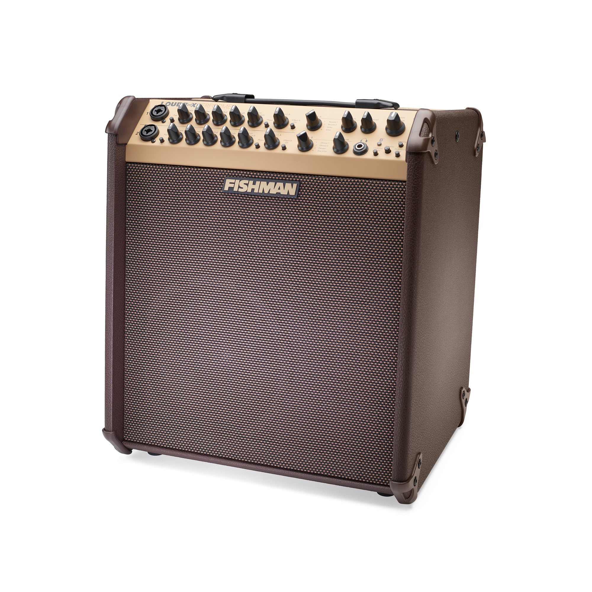 Fishman Loudbox Performer Amplifier