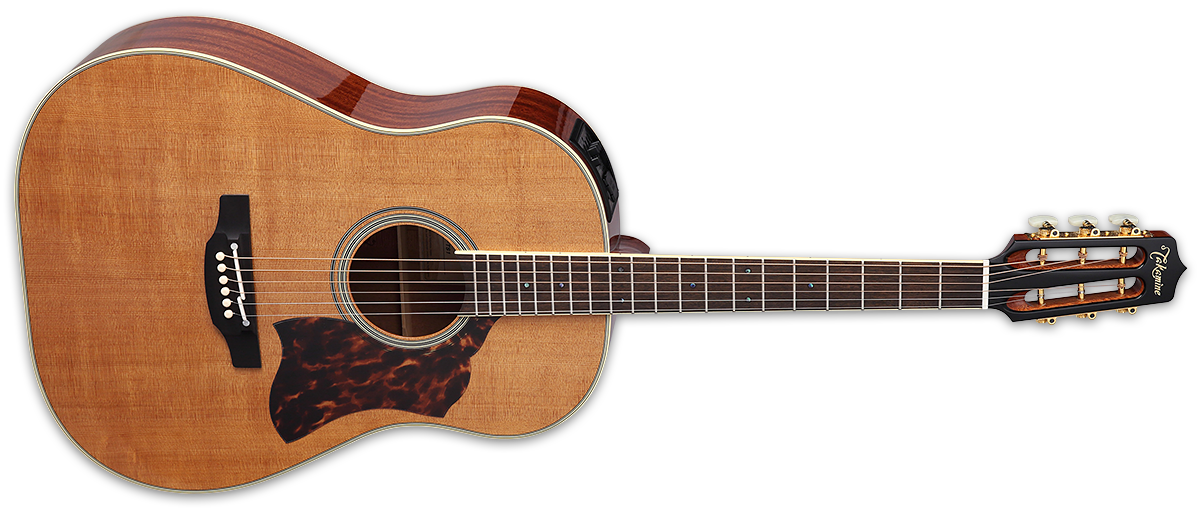 Takamine CRN-TS1 Acoustic Electric Guitar with Hard Case