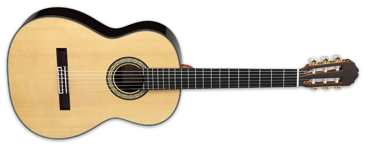 Takamine H8SS Classical Acoustic Guitar With Hard Case