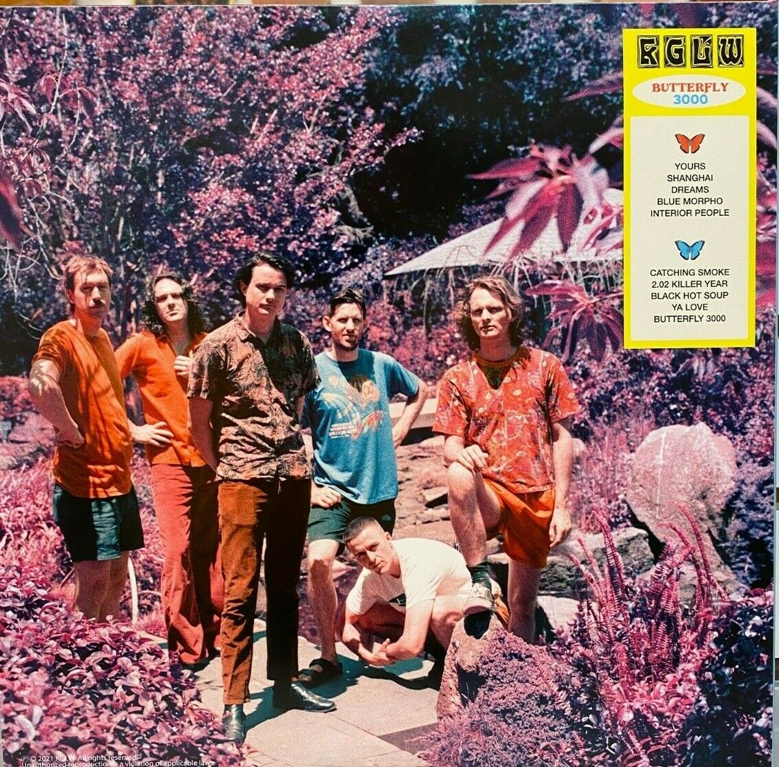 King Gizzard and the Lizard Wizard - Butterfly 3000 - Vinyl Record LP