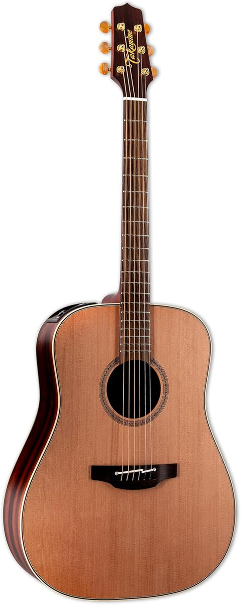 Takamine FN15AR Dreadnaught Acoustic/Electric Guitar - "Natural"