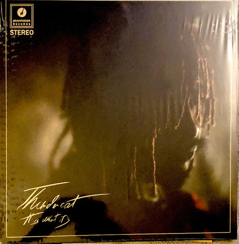 Thundercat – It Is What It Is - LP Vinyl Record