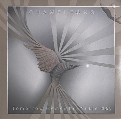 Chameleons – Tomorrow Remember Yesterday - EP Vinyl Record