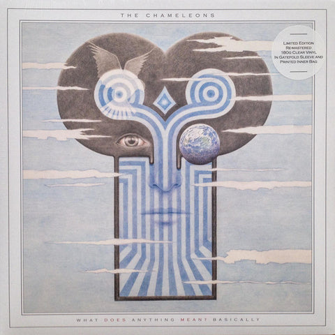 The Chameleons – What Does Anything Mean? Basically - LP Vinyl Record