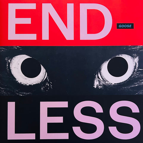 Goose – Endless - 2x LP Vinyl Record