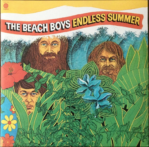 The Beach Boys – Endless Summer - 2x LP Vinyl Record