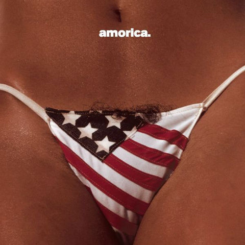The Black Crowes – Amorica - 2x LP Vinyl Record