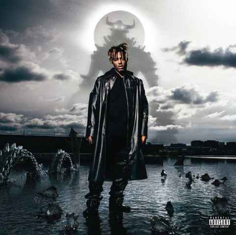 Juice WRLD – Fighting Demons - 2x LP Vinyl Record