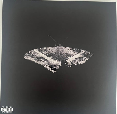 Kendrick Lamar – To Pimp A Butterfly - 2x LP Vinyl Record