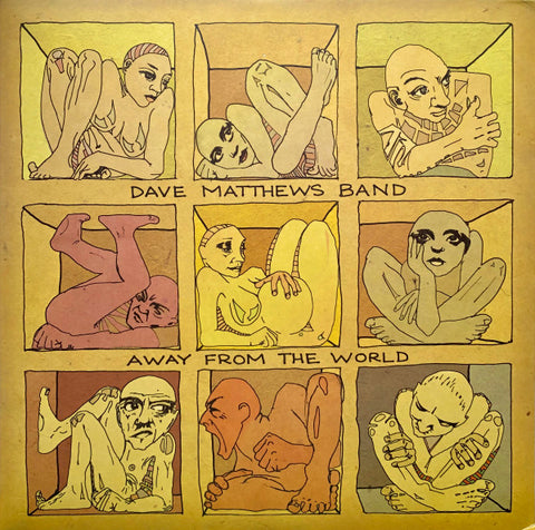 Dave Matthews Band – Away From The World - 2x LP Vinyl Record