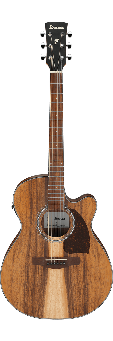 Ibanez PC50WSCE Acoustic/Electric Guitar - "Open Pore Natural"