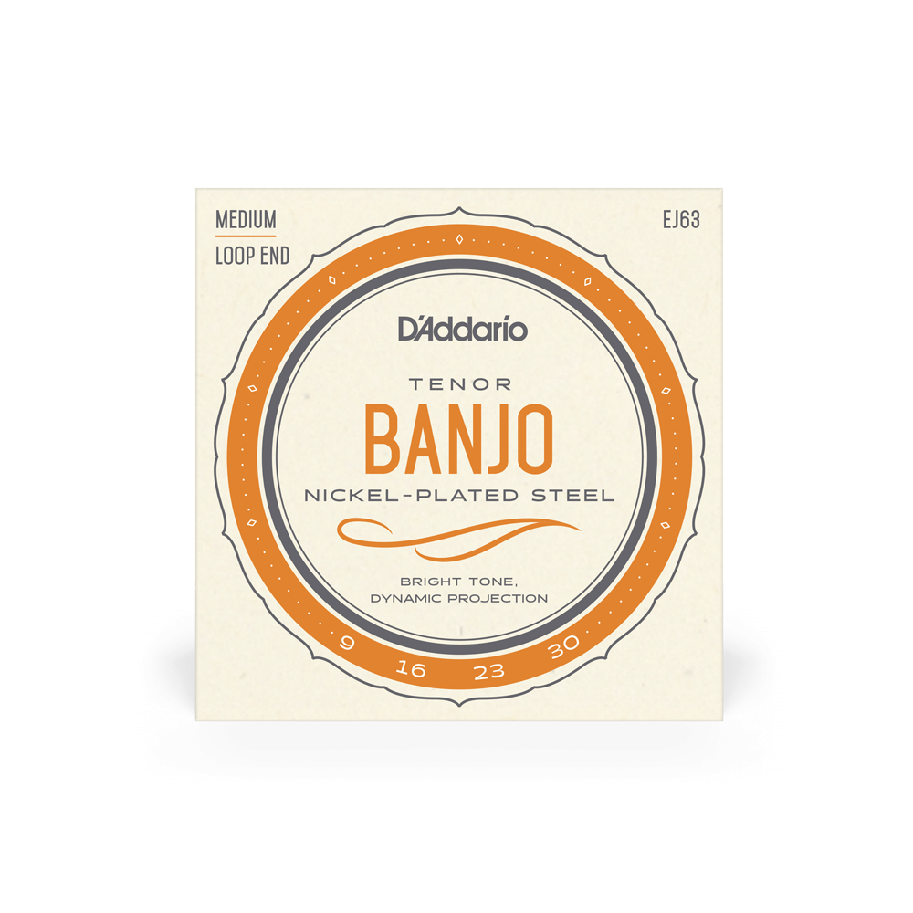 D'Addario® EJ63 Tenor Banjo Medium Loop End 9-30