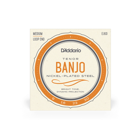D'Addario® EJ63 Tenor Banjo Medium Loop End 9-30